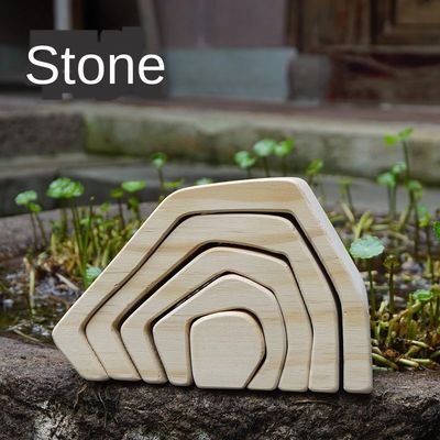 Il puzzle di legno ondulato del blocchetto dell'Istituto centrale di statistica gioca i blocchetti di legno Coral Grimm dell'arcobaleno
