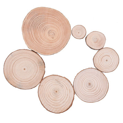 Fette di legno naturali dei mestieri di legno non finiti del ceppo 12cm della corteccia