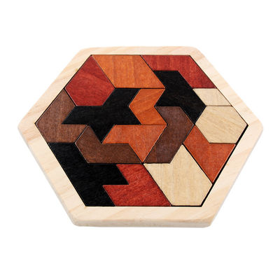 Puzzle di legno esagonali del Montessori dei bambini