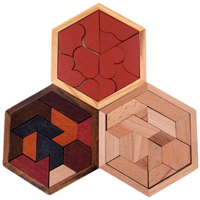 Puzzle di legno esagonali del Montessori dei bambini