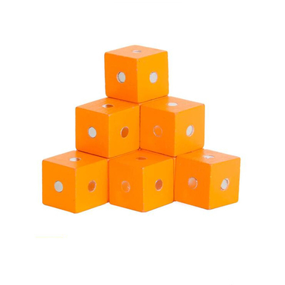 Blocchetti magnetici 10pc 2X2X2cm dell'arcobaleno quadrato educativo del cubo di legno