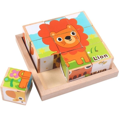 cubi a sei facce educativi delle particelle elementari di legno 3D per i bambini
