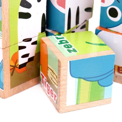 cubi a sei facce educativi delle particelle elementari di legno 3D per i bambini